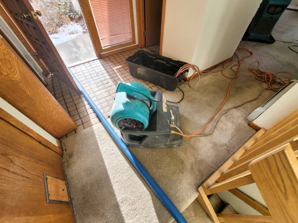 Best Flood Cleanup and Water Removal in La Cienega, NM